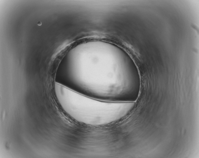 X0000099321448200805020743