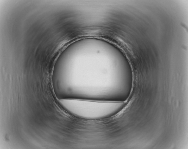 X0000099321449200805020743