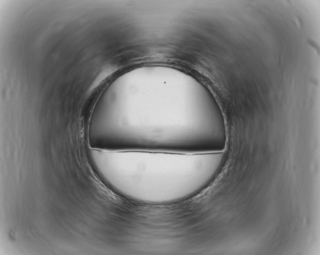 X0000099321450200805020743