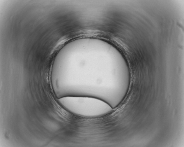 X0000099321451200805020743
