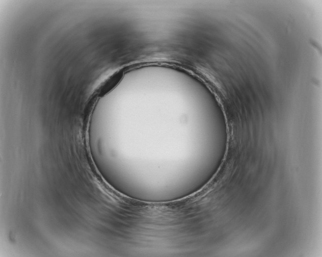 X0000099321452200805020743