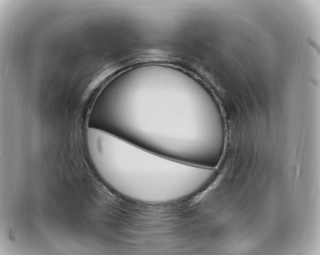 X0000099321453200805020743