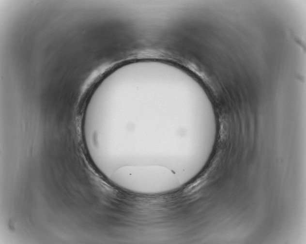 X0000099321454200805020743