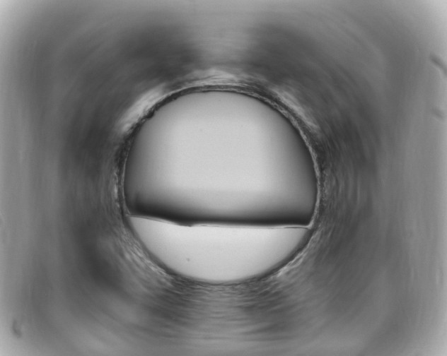 X0000099321455200805020743