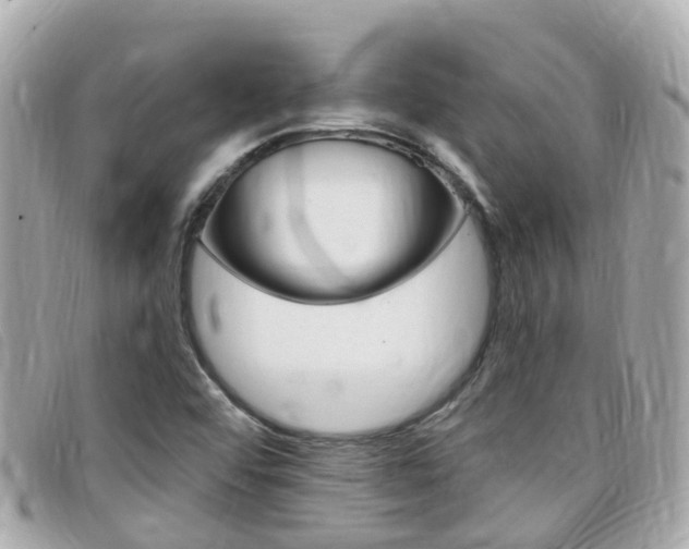 X0000099321456200805020743