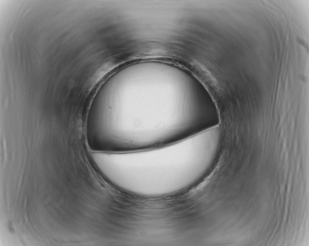 X0000099321457200805020743