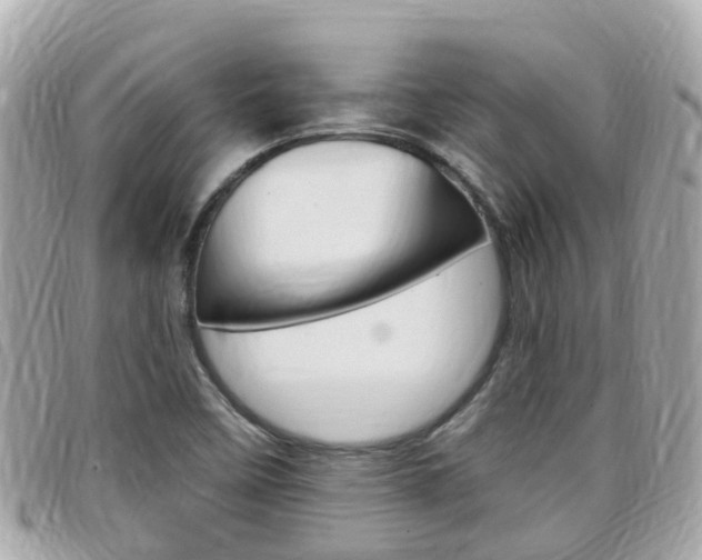 X0000099321458200805020743