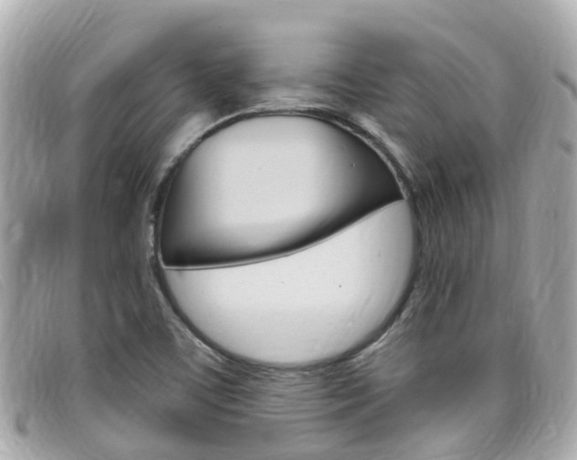X0000099321459200805020743