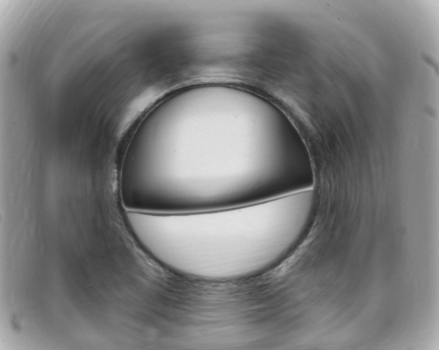 X0000099321461200805020743