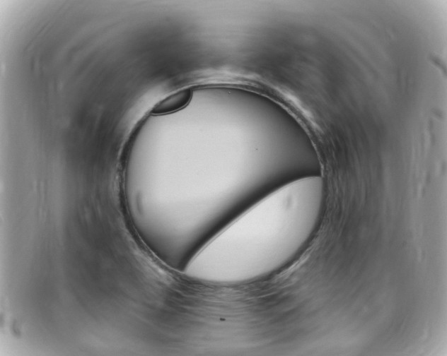 X0000099321463200805020743