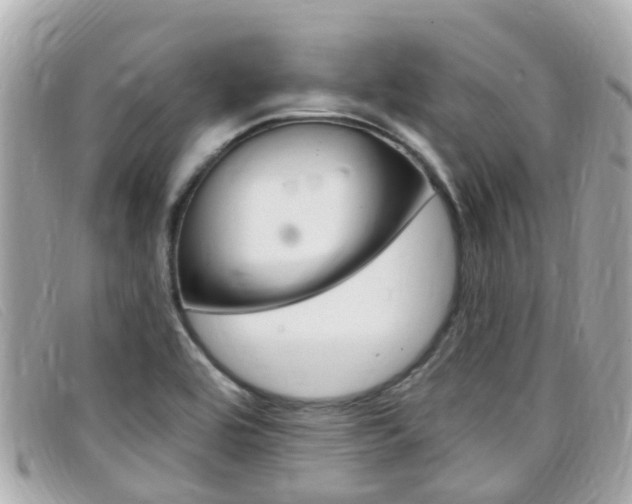 X0000099321464200805020743