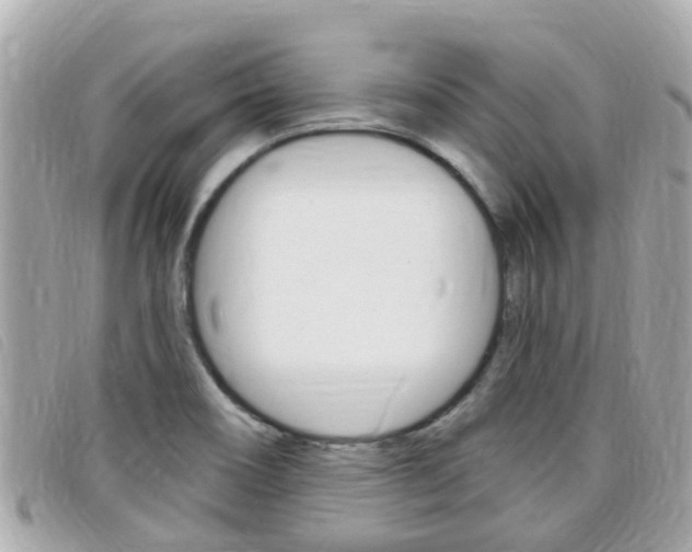 X0000099321466200805020743