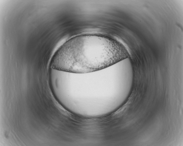 X0000099321467200805020743