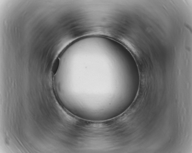 X0000099321468200805020743