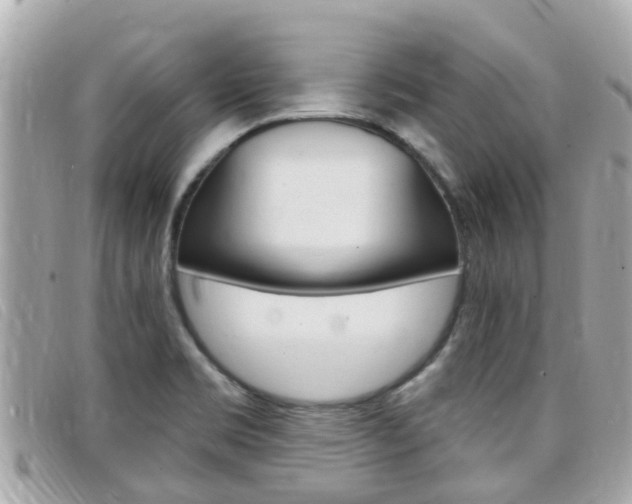 X0000099321469200805020743