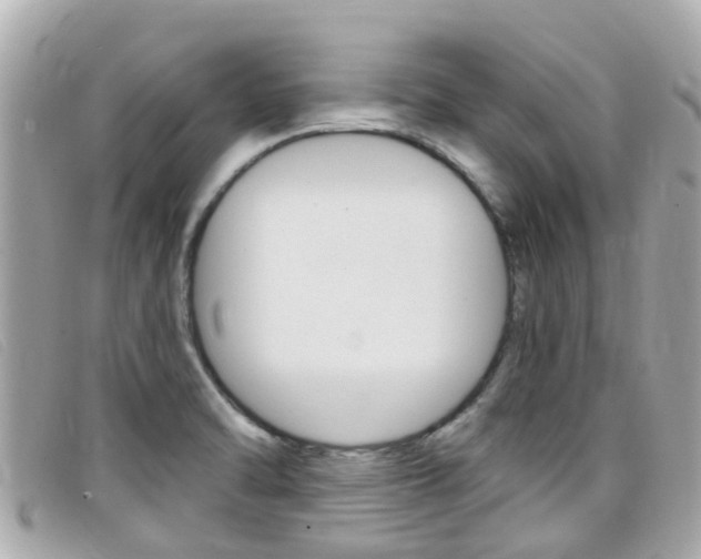 X0000099321470200805020743