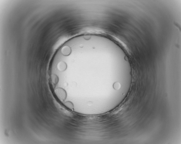 X0000099321471200805020743