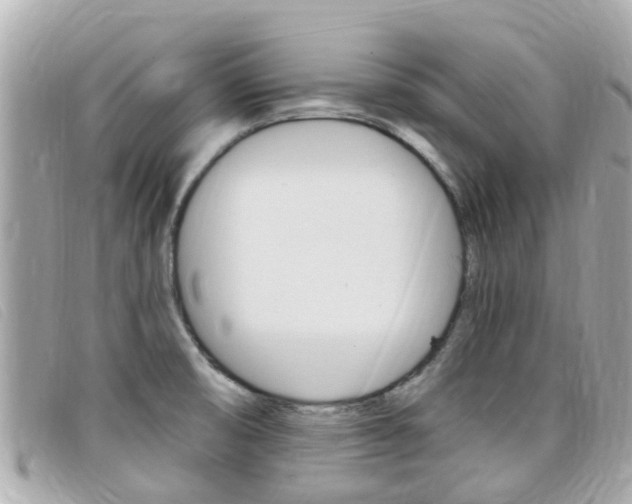 X0000099321474200805020743
