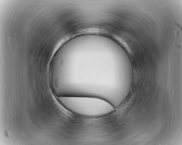 X0000099321475200805020743