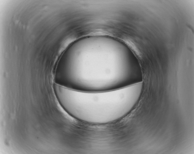X0000099321476200805020743
