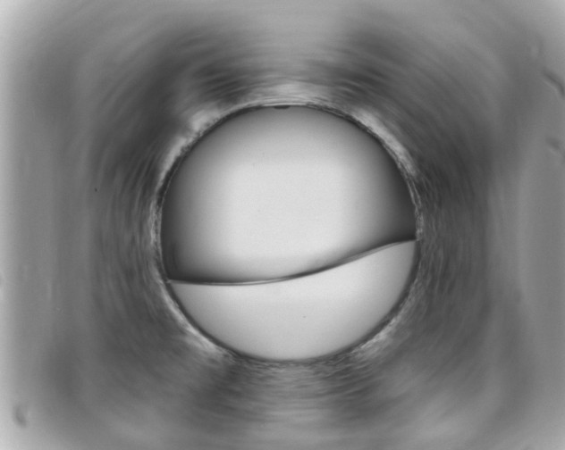 X0000099321477200805020743