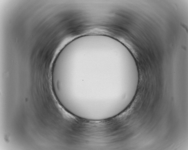 X0000099321478200805020743