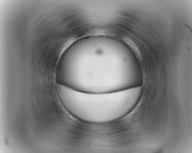 X0000099321481200805020742