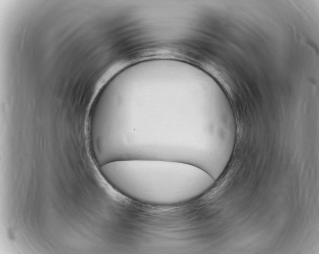 X0000099321482200805020742