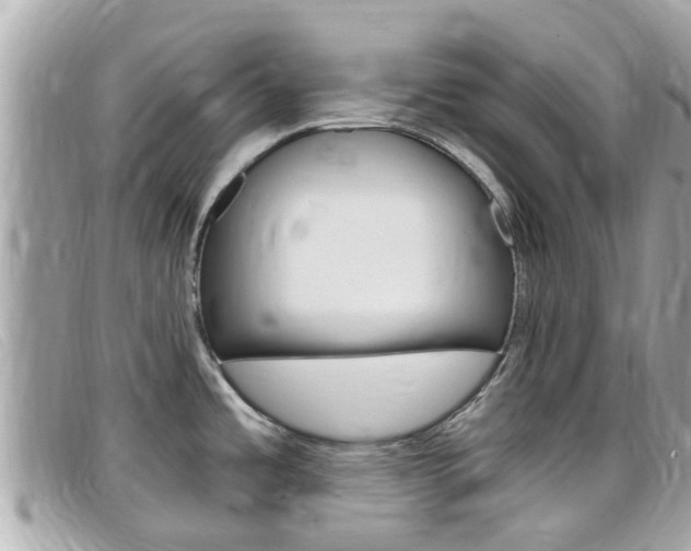 X0000099321485200805020742