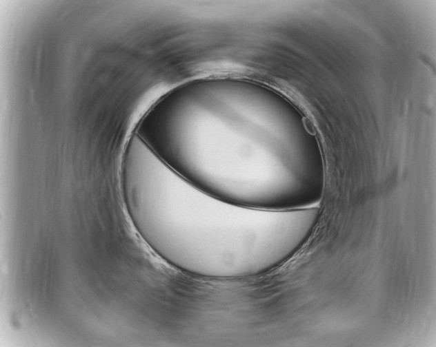 X0000099321488200805020742