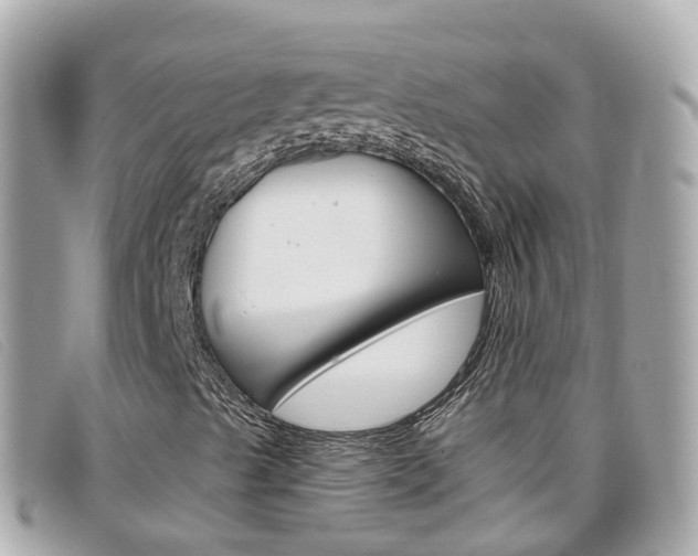 X0000099321489200805020742