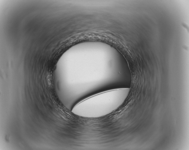 X0000099321490200805020742