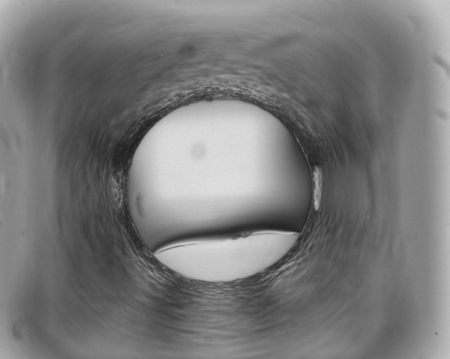 X0000099321491200805020742