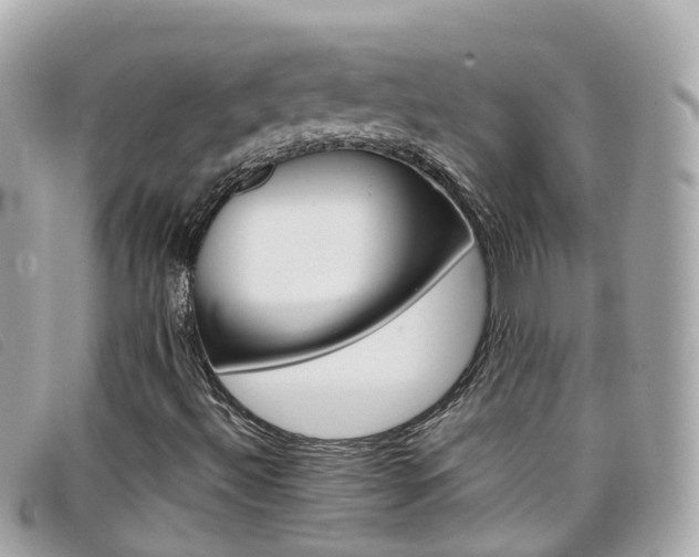 X0000099321492200805020742