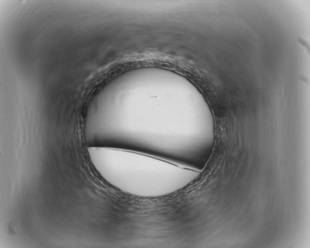 X0000099321493200805020742