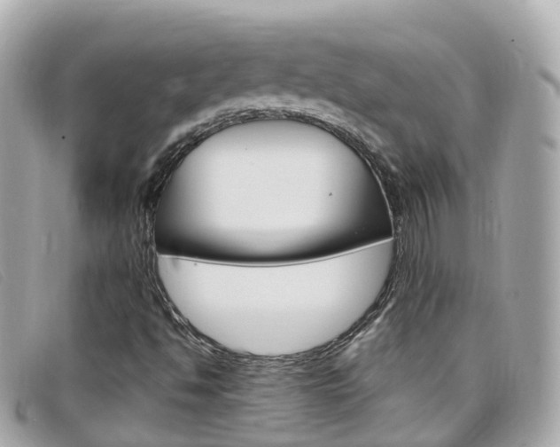 X0000099321494200805020742