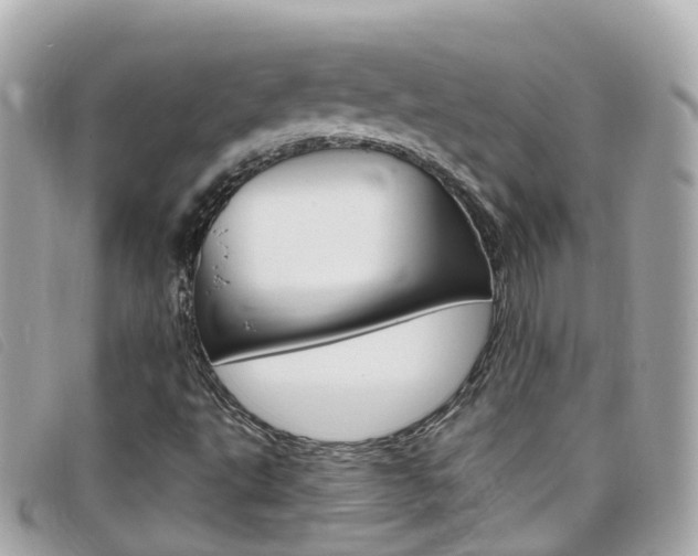 X0000099321495200805020742