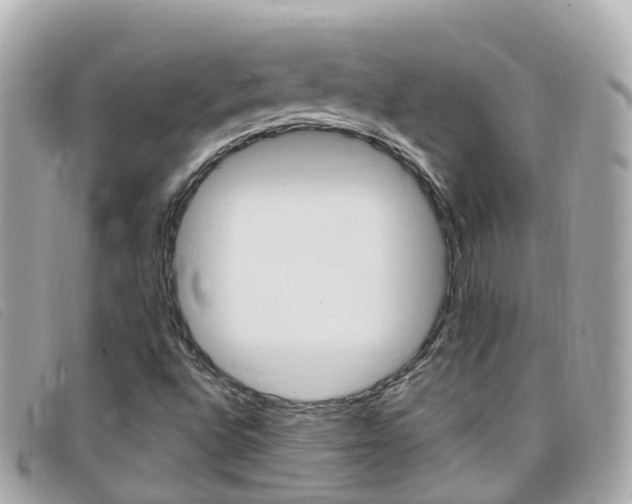 X0000099321496200805020742