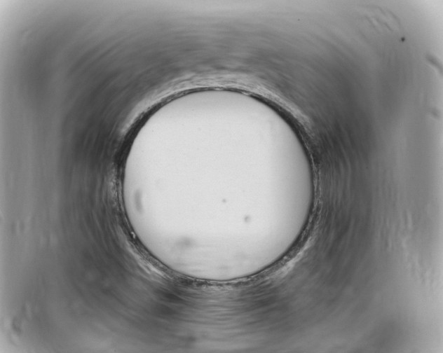X0000099321498200805020742