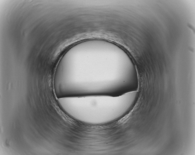 X0000099321499200805020742