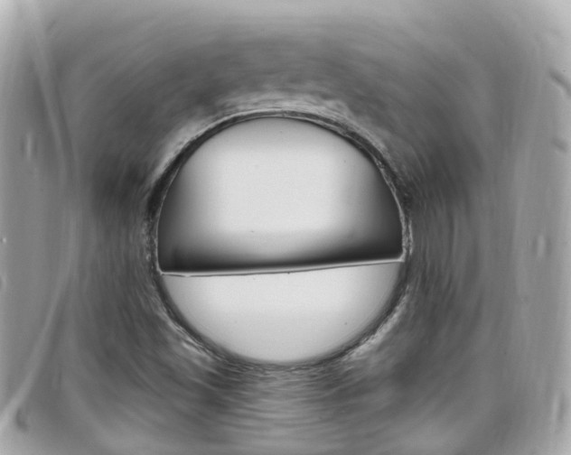 X0000099321501200805020742