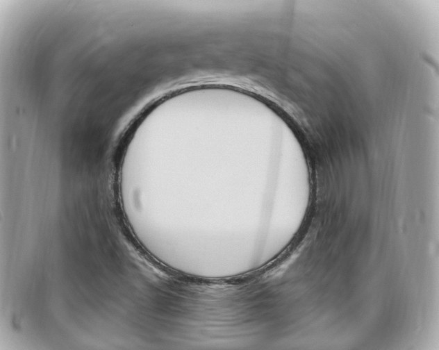 X0000099321502200805020742