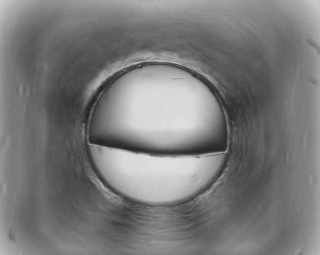 X0000099321503200805020742