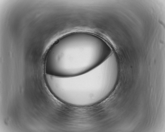 X0000099321504200805020742