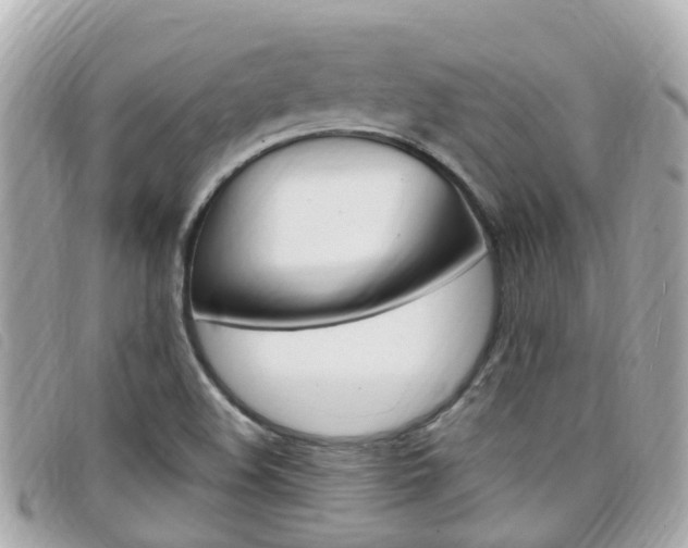 X0000099321508200805020742