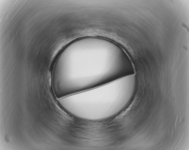 X0000099321509200805020742