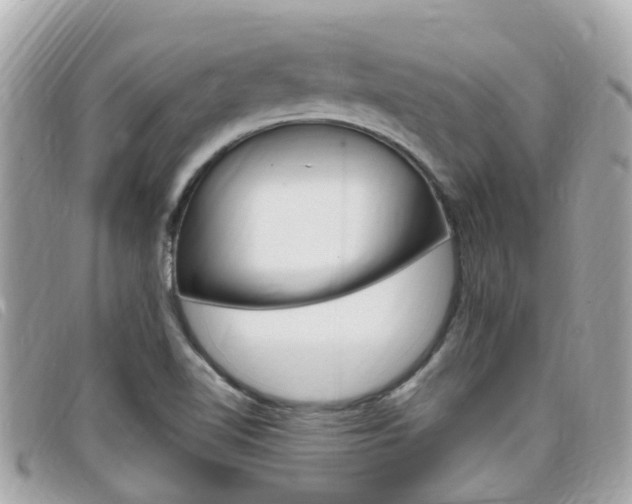X0000099321510200805020742