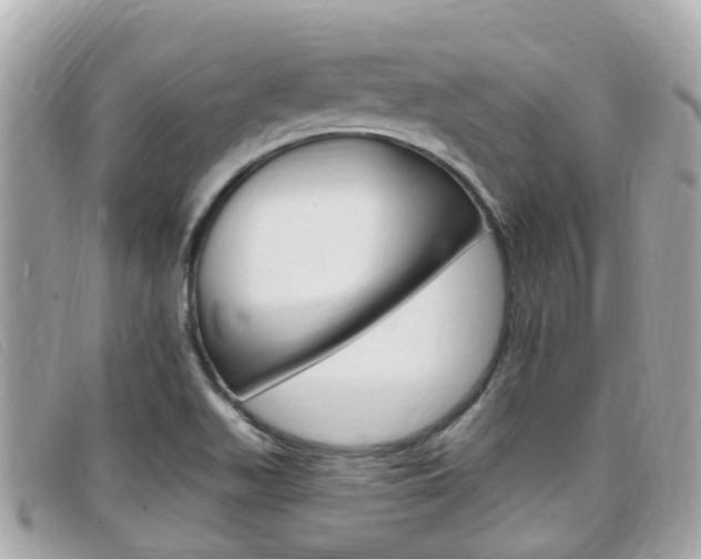 X0000099321511200805020742