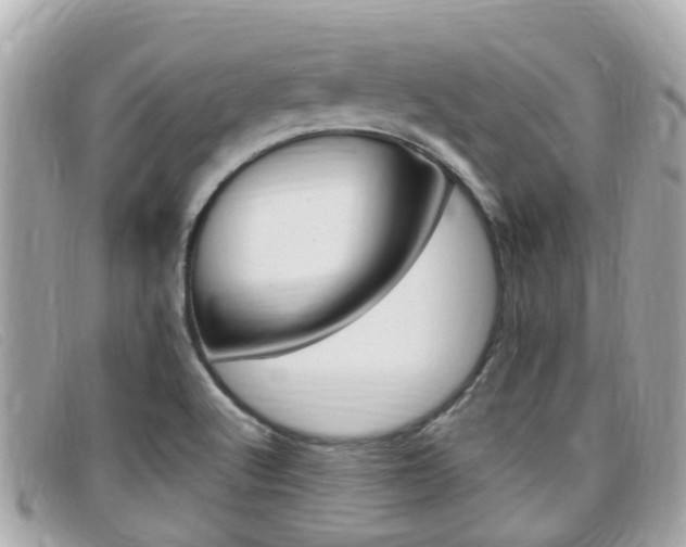 X0000099321512200805020742