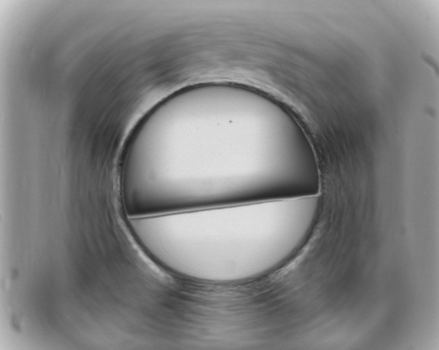 X0000099321517200805020742